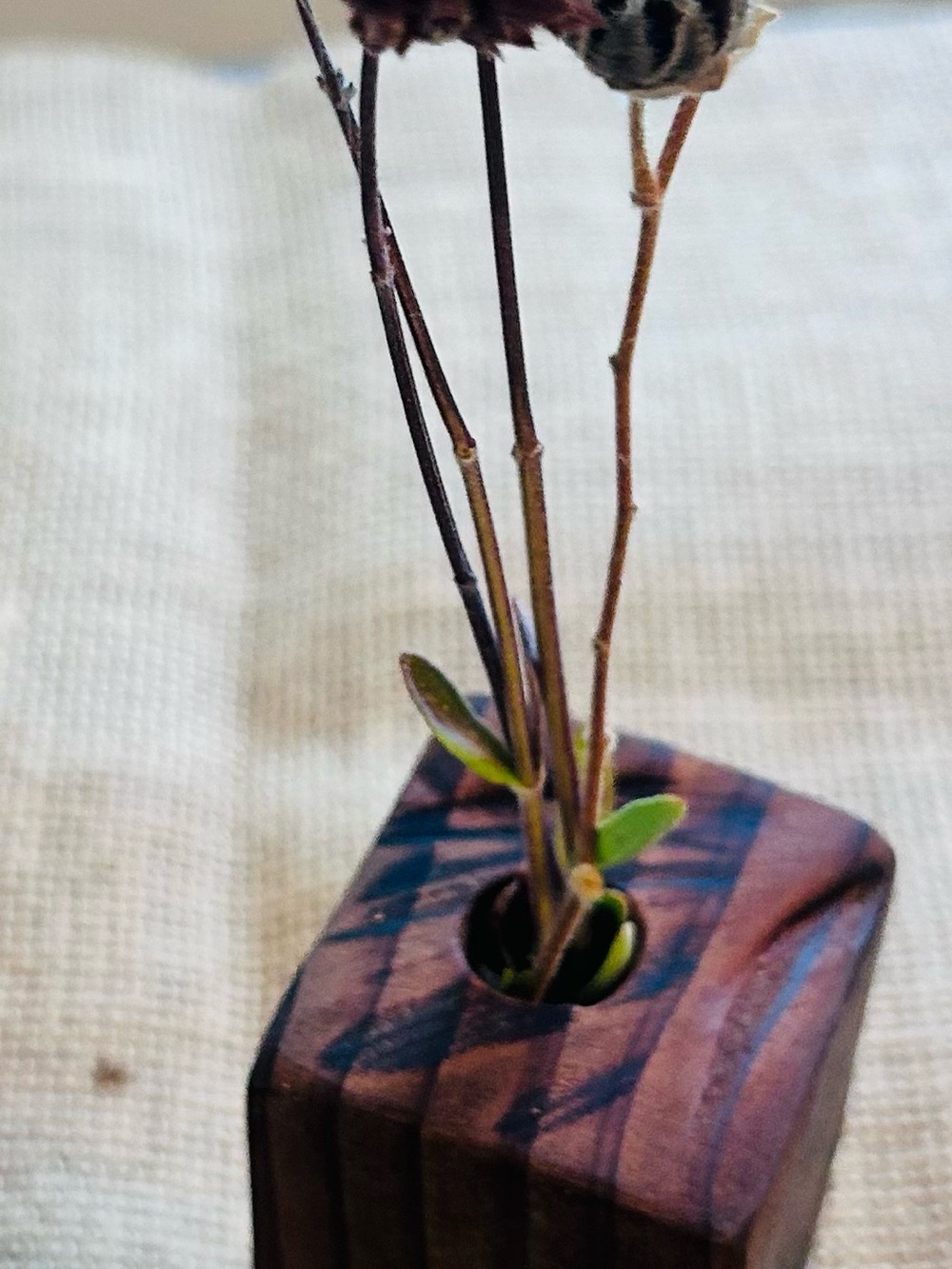 Handcrafted Dark Brown Wooden Bud Vase Trio - Rustic Home Accents - Picture 6 of 6